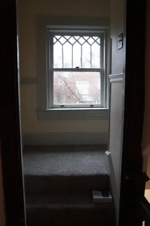 Picture 29