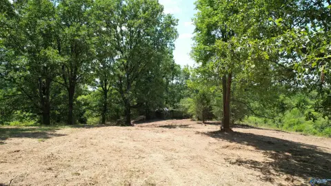 Land in Good Hope, AL