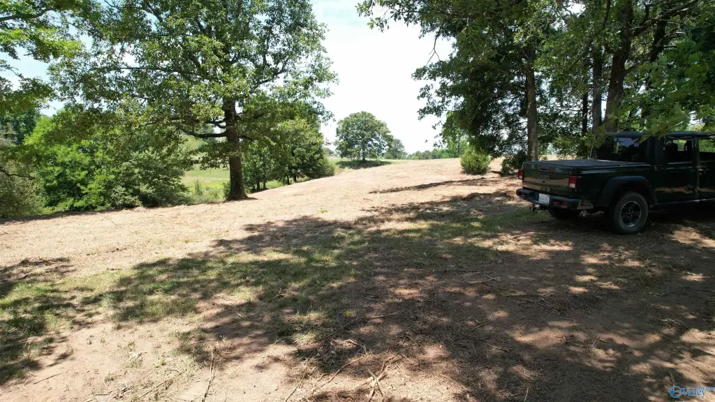 Picture 24