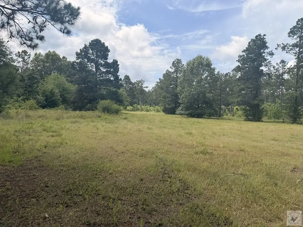 Picture 19