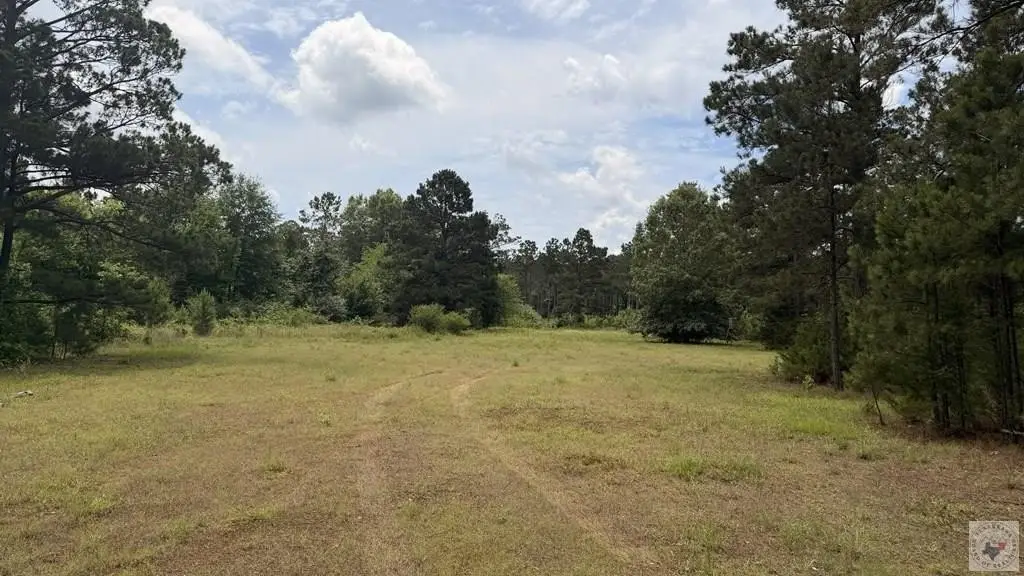 Picture 13
