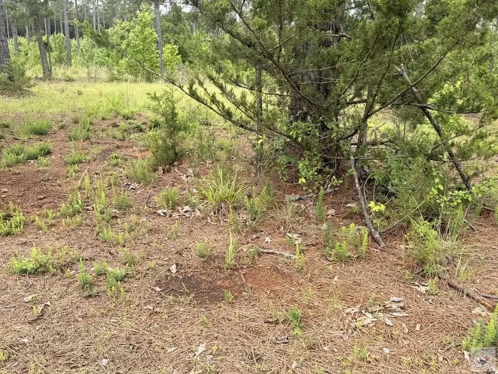 Picture 17