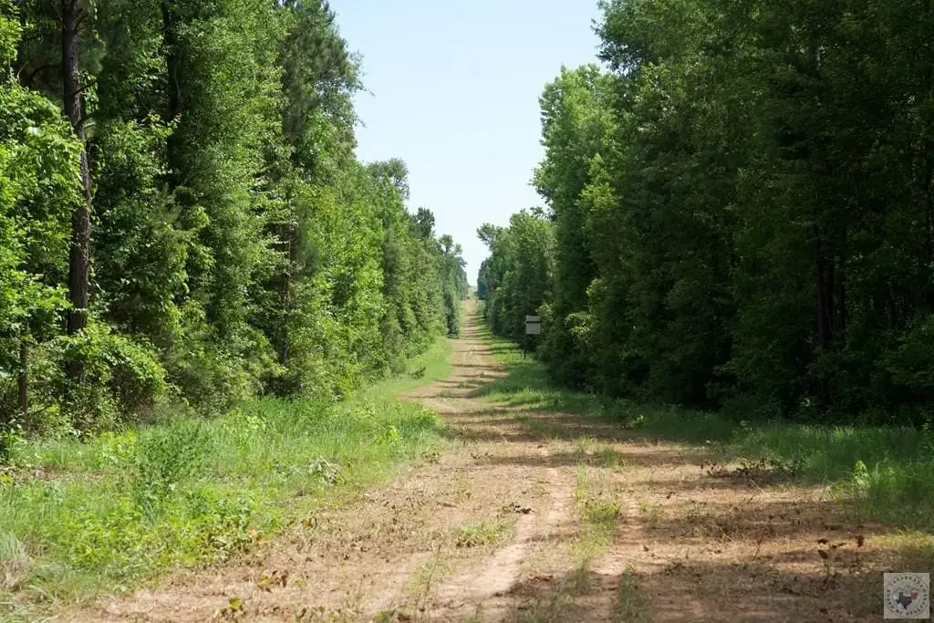 Picture 39