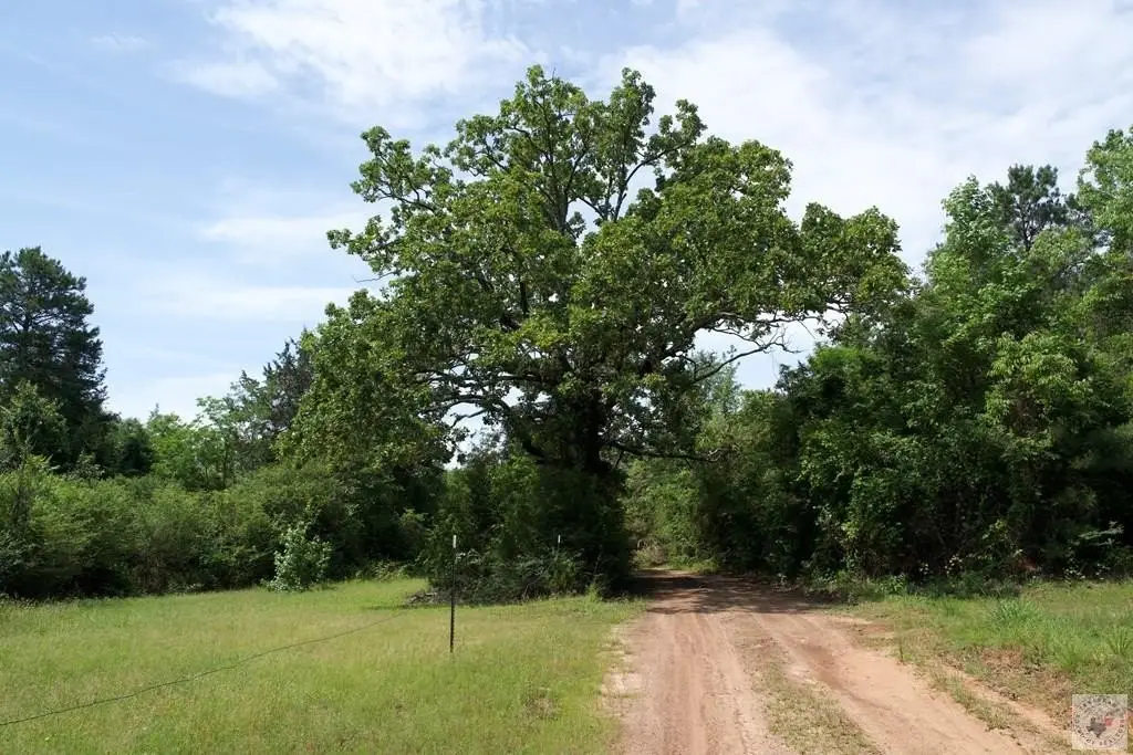 Picture 33