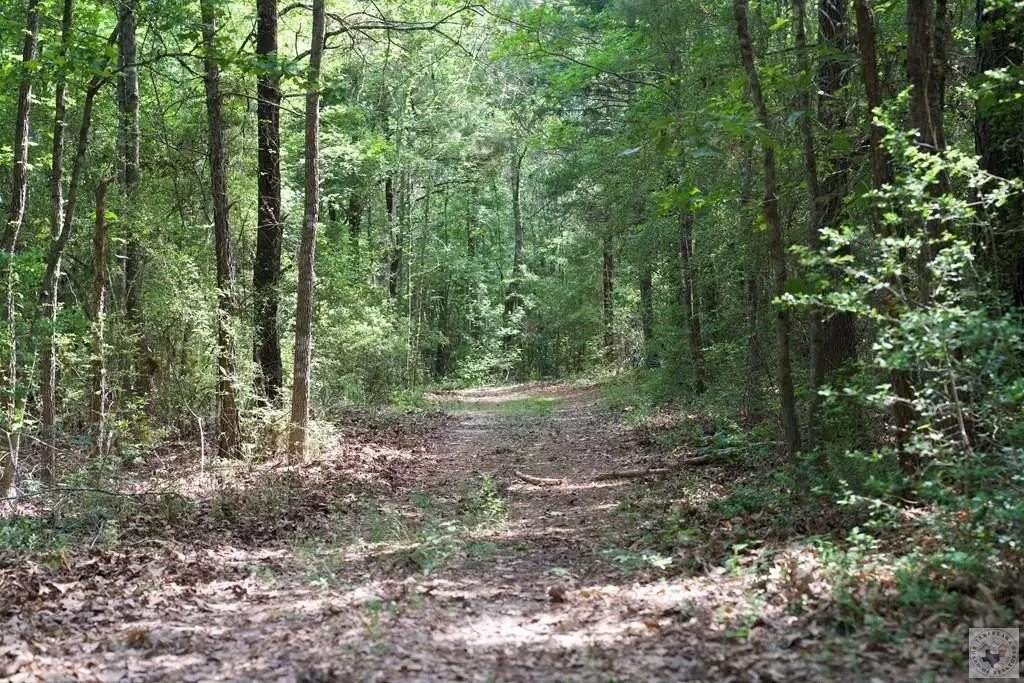 Picture 37