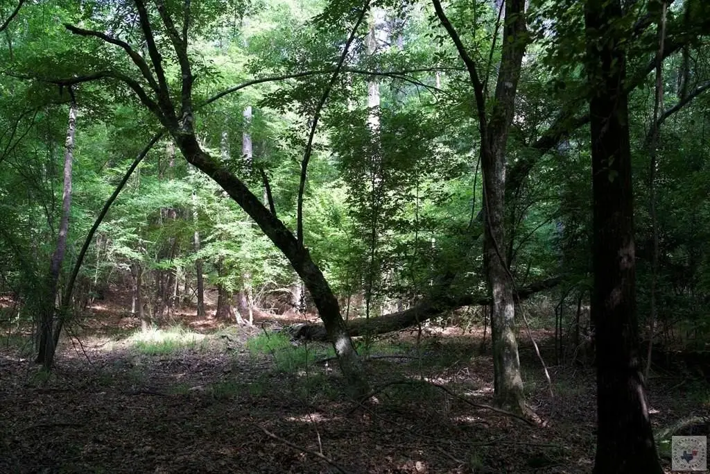 Picture 23
