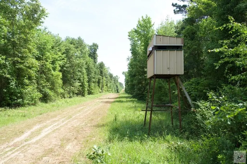Picture 41