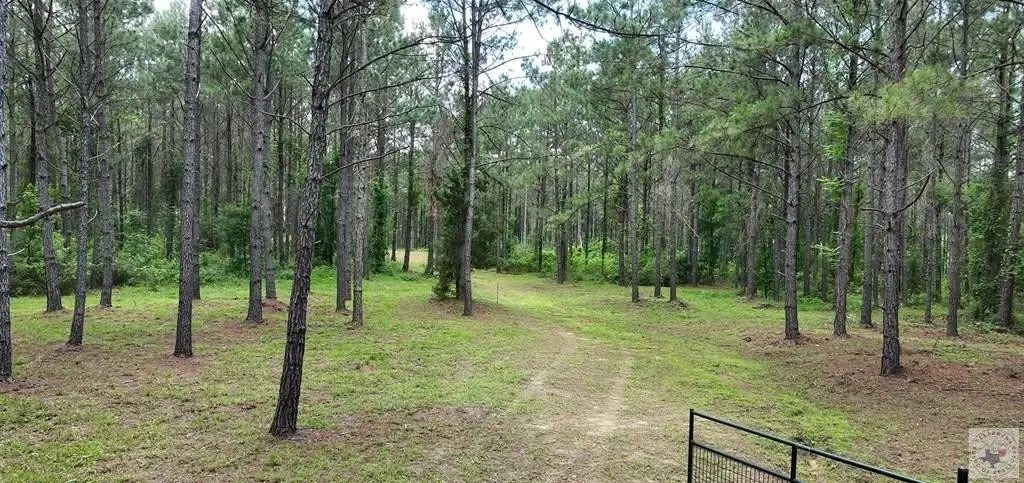 Picture 4