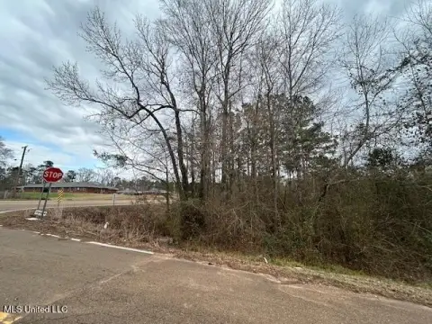 Residential Land in Gloster, MS
