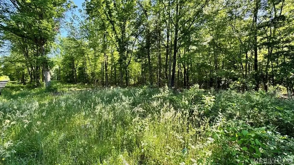 Picture 3