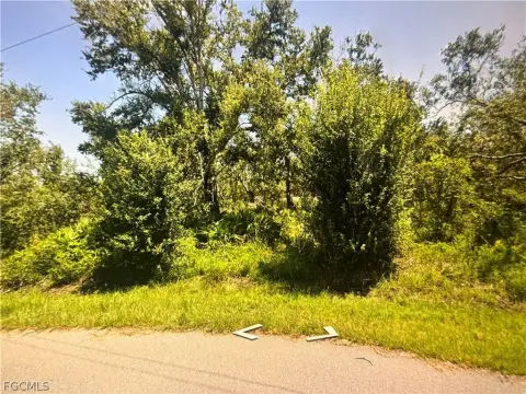 Residential Lot in Punta Gorda
