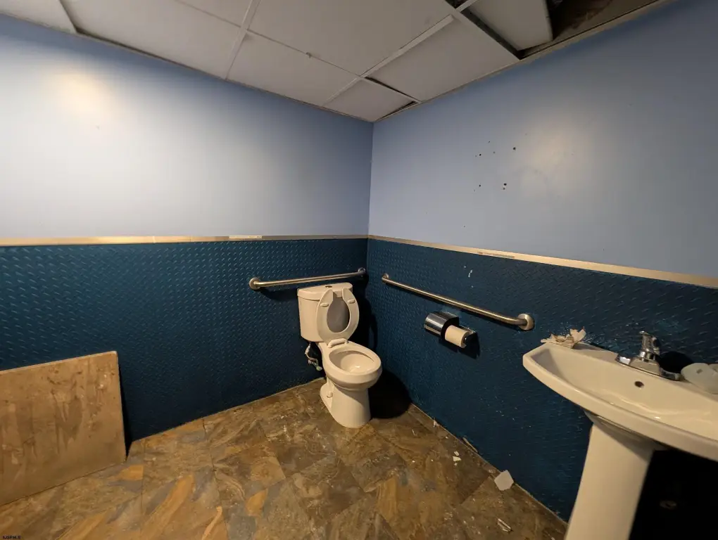 Picture 11