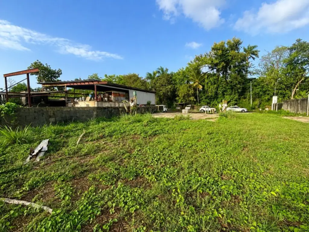 Picture 2