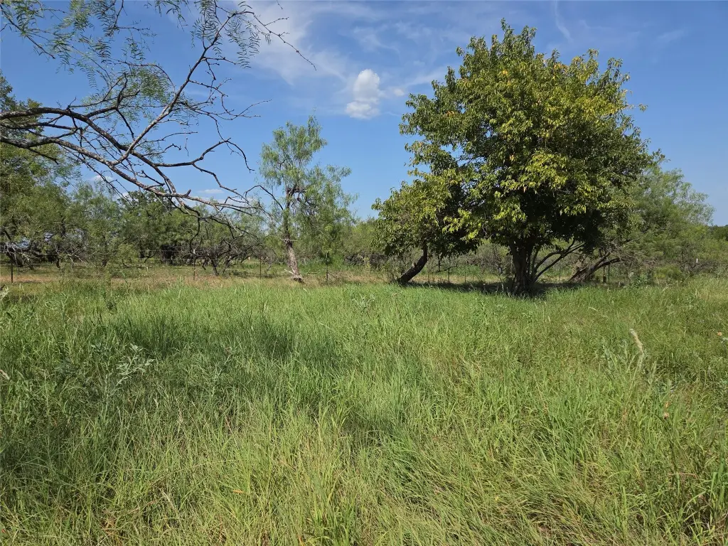 Picture 39