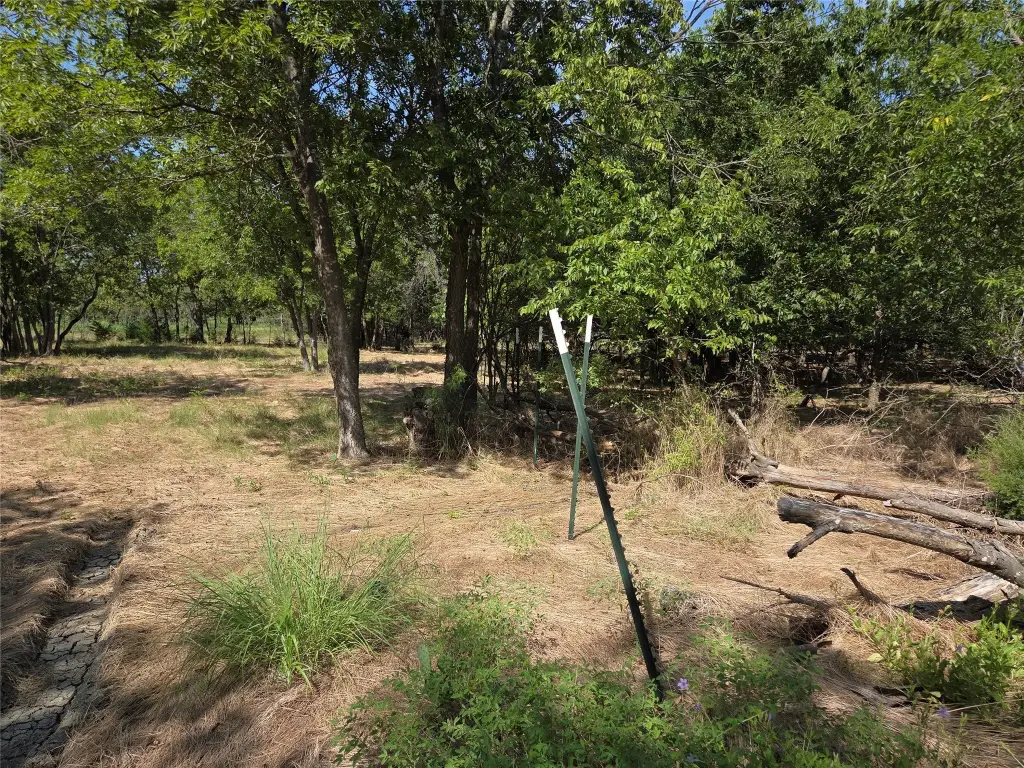 Picture 32