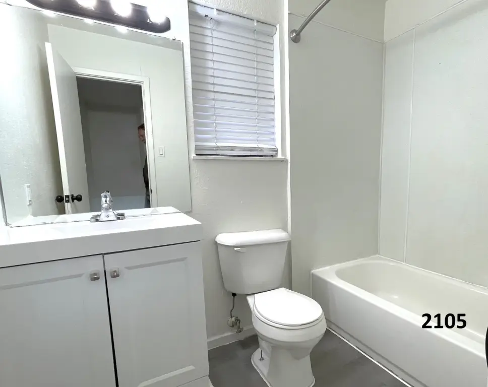 Picture 17
