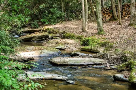 Creek-Front Lot in Mineral Bluff