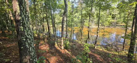 Recreational Land with Pond