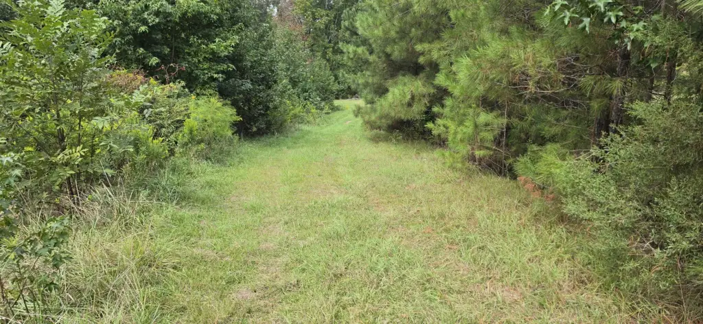 Picture 17