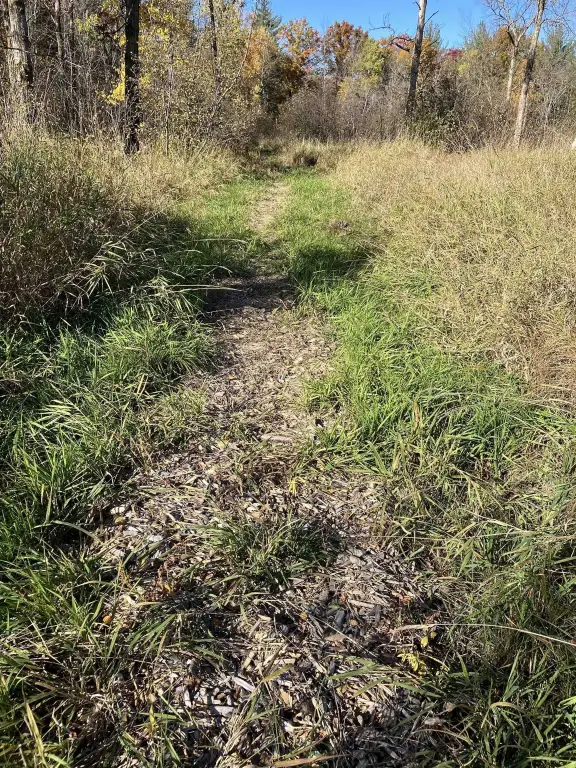 Picture 24