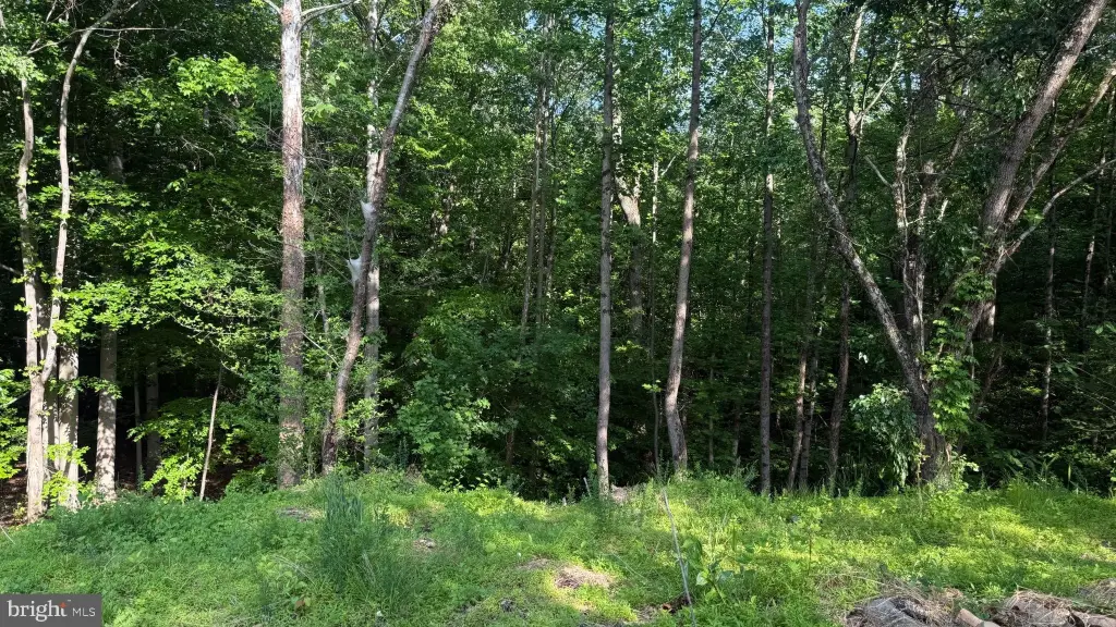 Picture 10