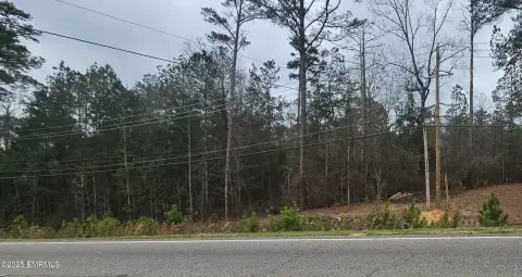 Commercial Land on Highway 39