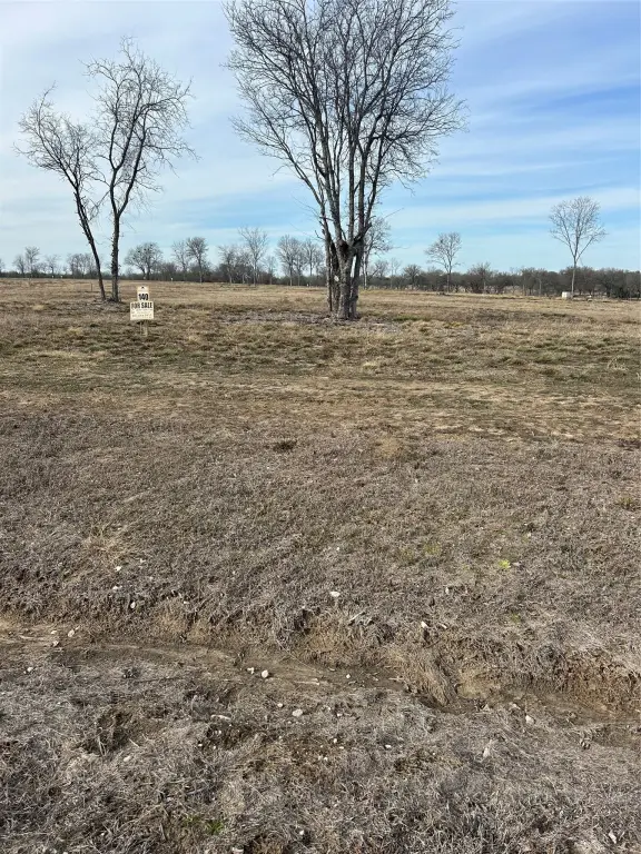 Picture 2