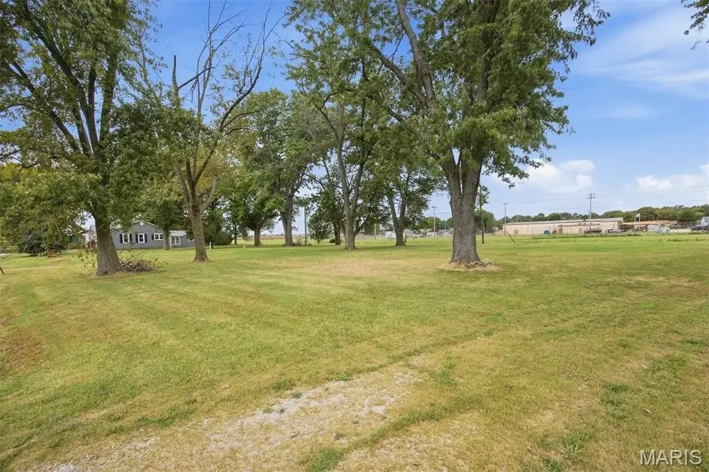 Picture 6