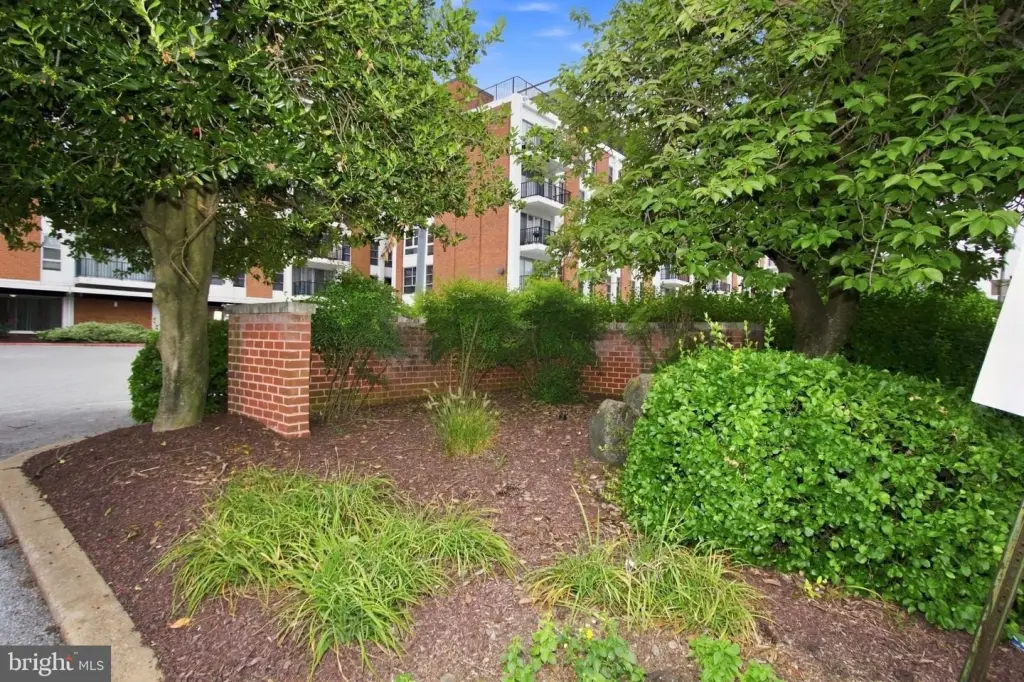 Picture 31