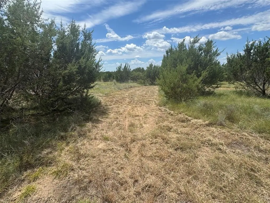 Picture 14