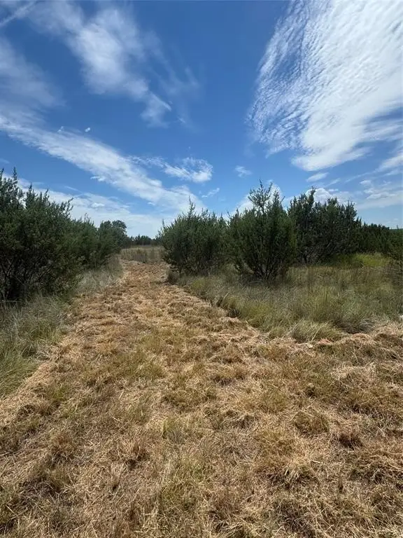 Picture 12