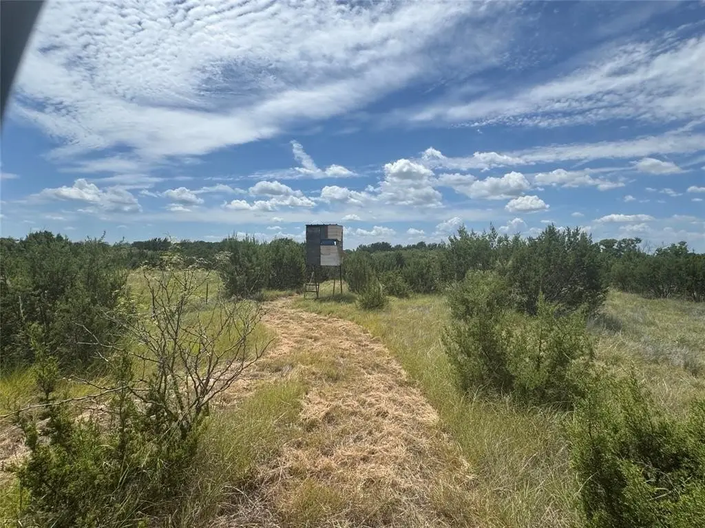 Picture 16