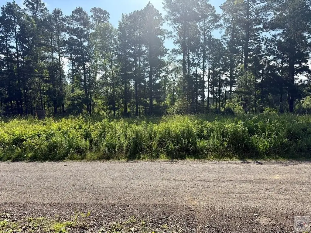 Picture 16