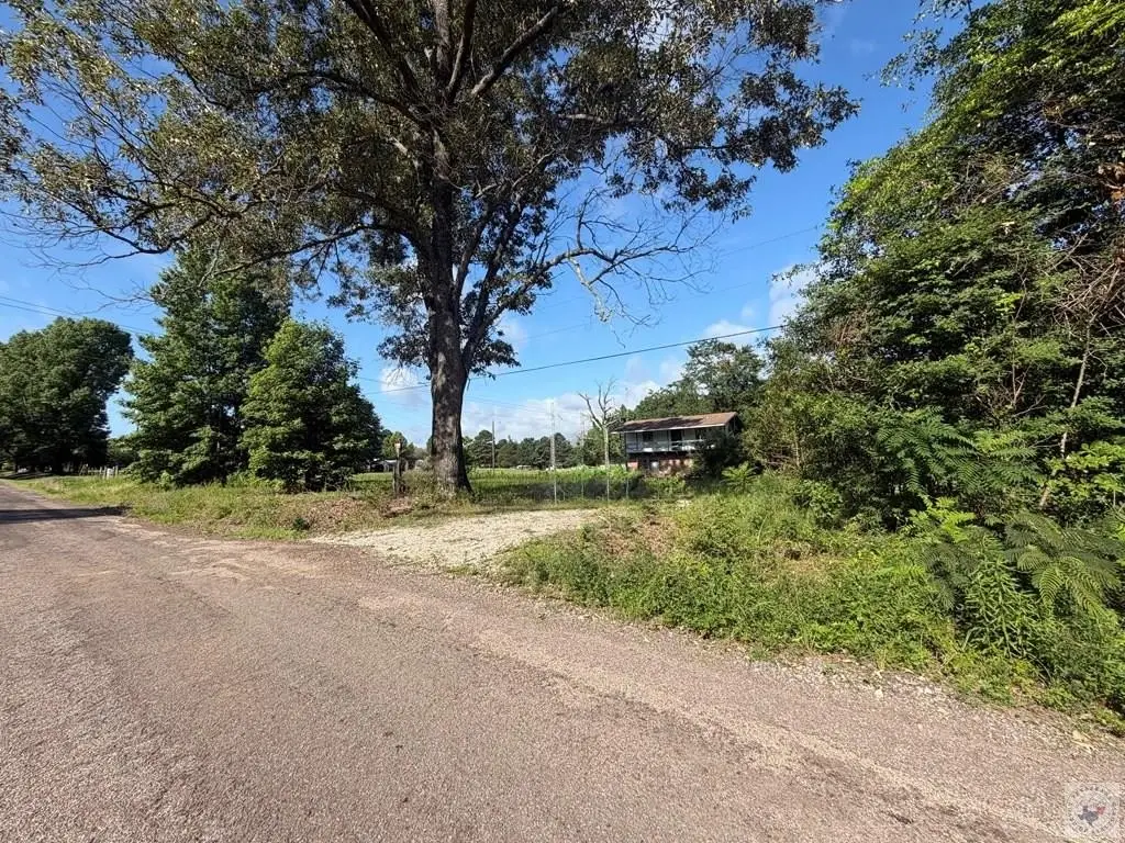 Picture 18