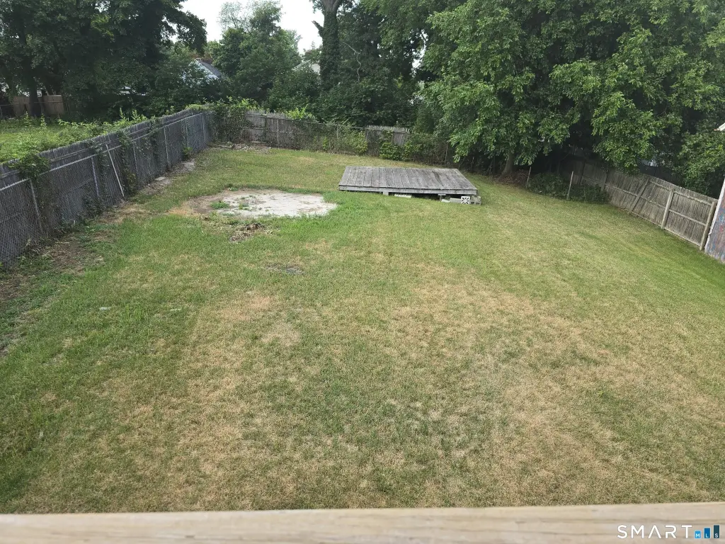 Picture 3