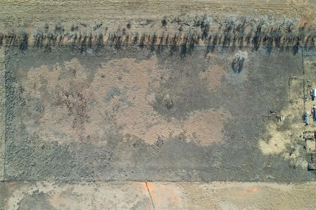 Picture 10