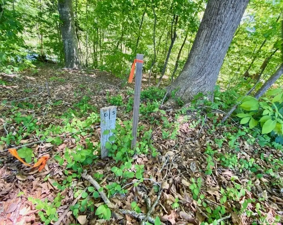Picture 6