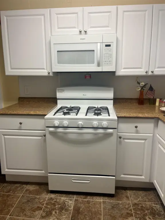 Picture 11