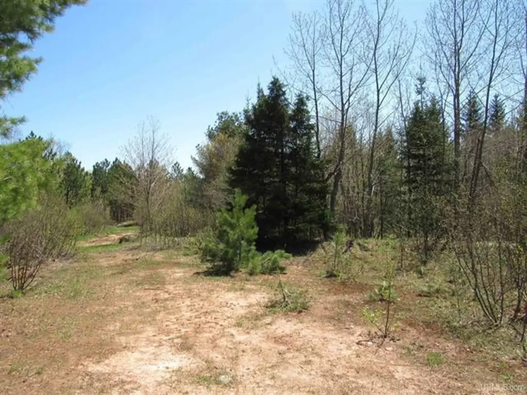 Picture 3