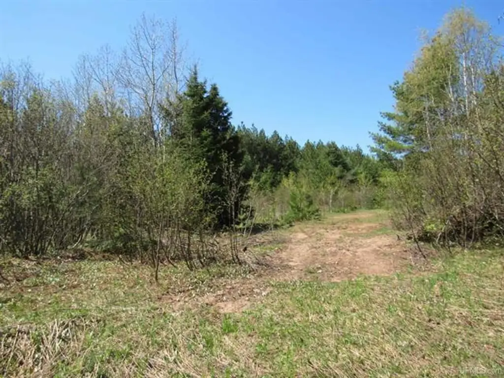 Picture 9