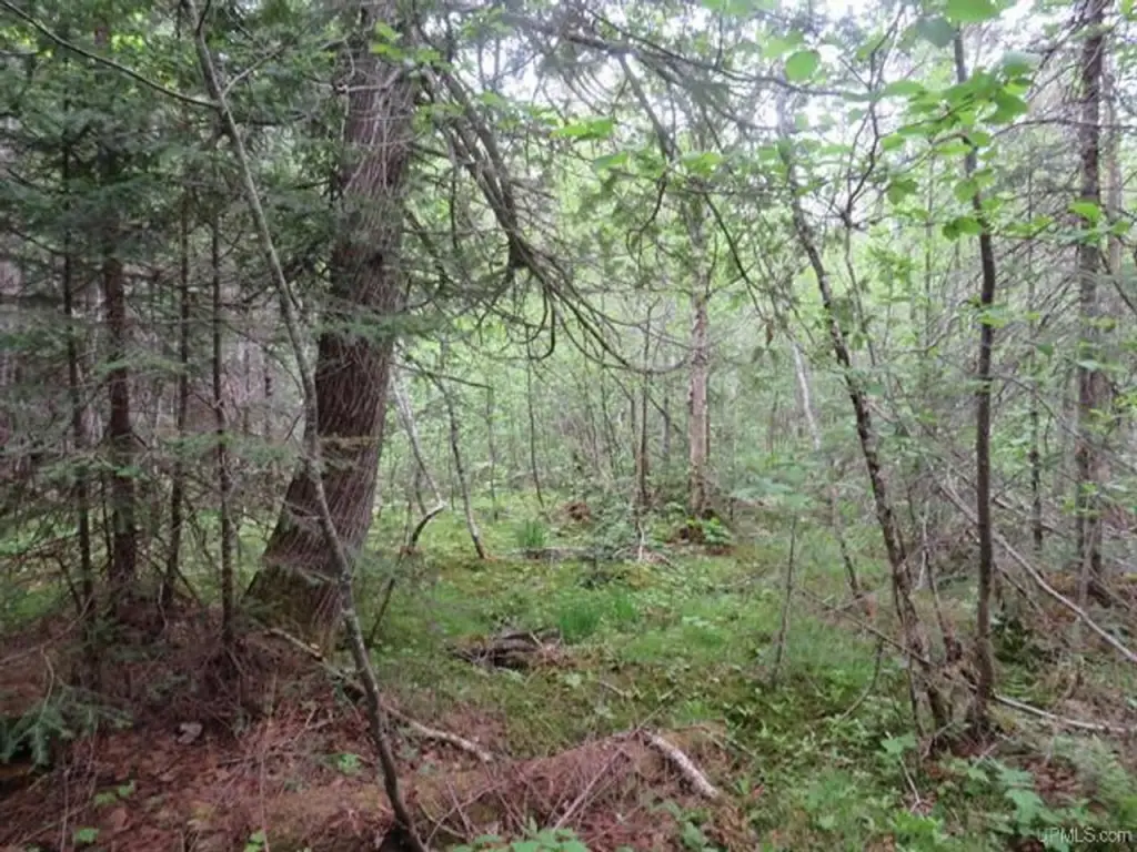 Picture 16