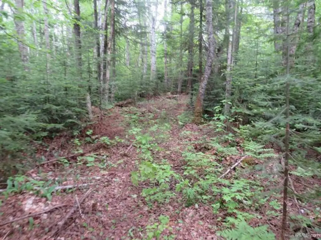 Picture 24