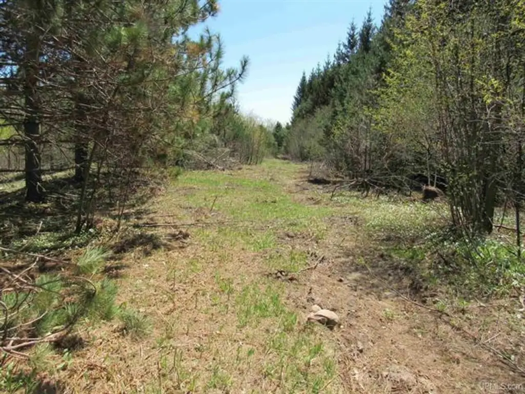 Picture 6
