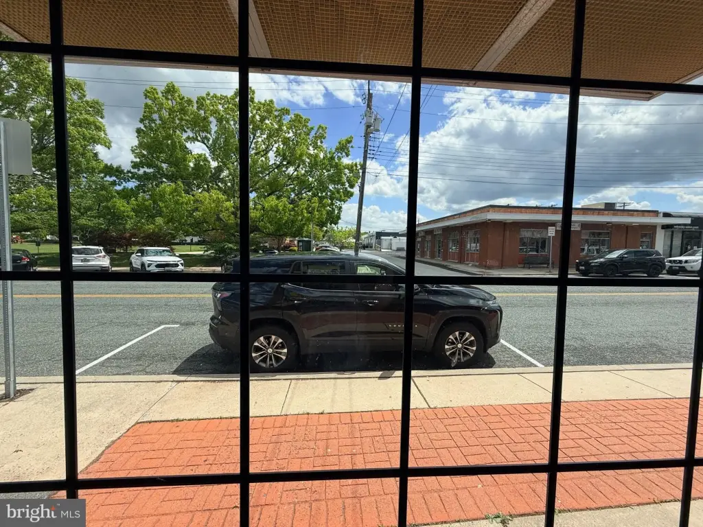 Picture 17