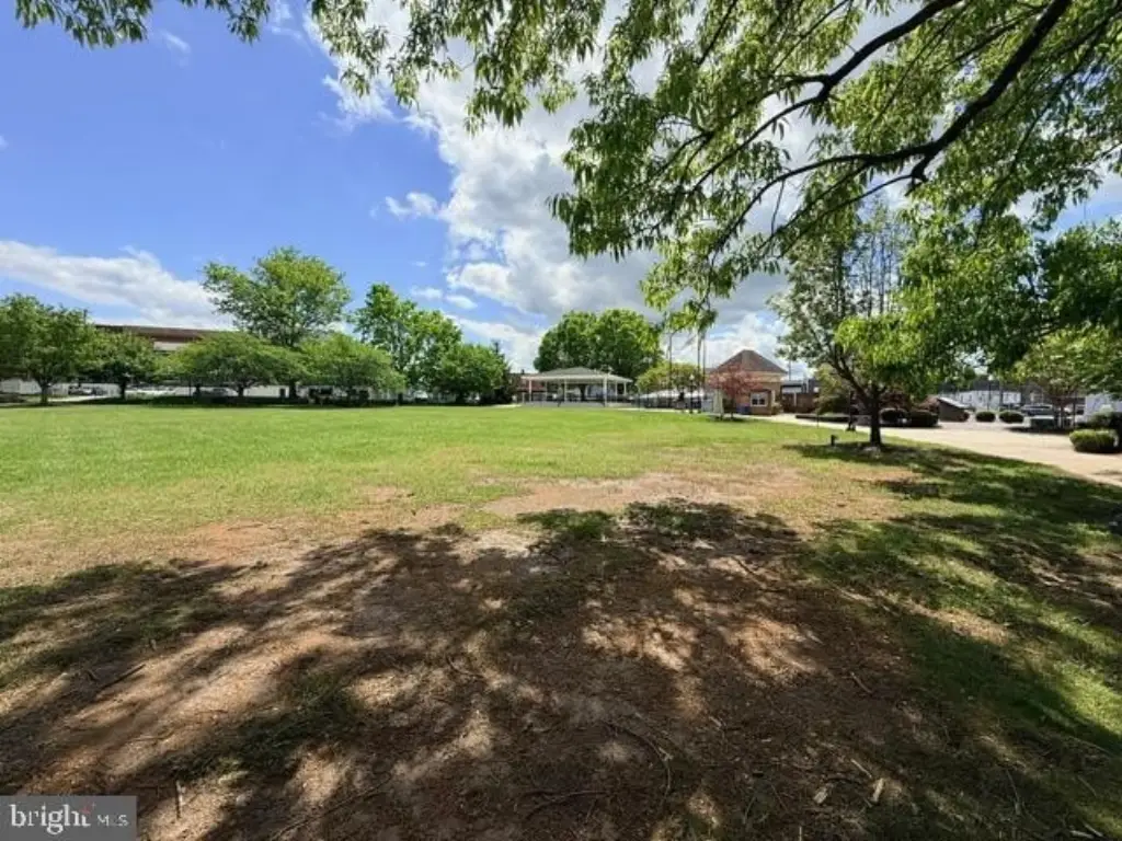 Picture 31