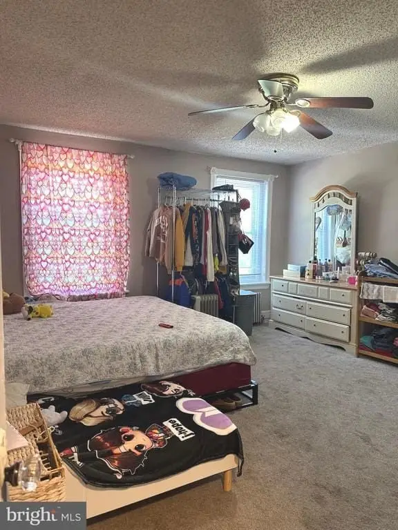 Picture 9