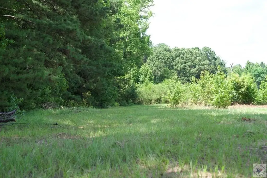 Picture 24