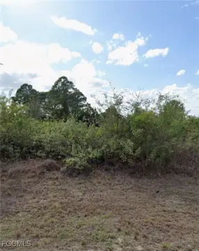 Vacant Lot in Lehigh Acres