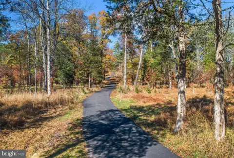 Wooded Paradise Along Tinicum Creek