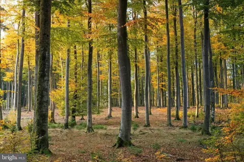 Buckingham Township Homesite Near Doylestown